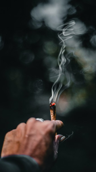 Cannabis, eine gefährliche Droge mit heilender Wirkung, Foto: Ahmed Zayan auf unsplash.com