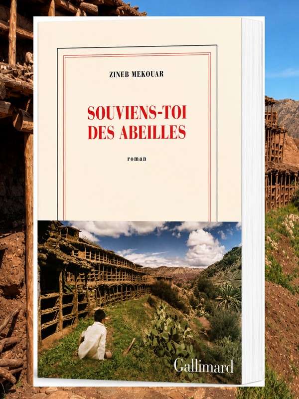 Buchcover mit Hilfe von ChatGPT optimiert