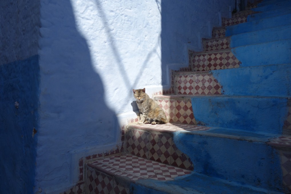 Inside Marokko. Muriels Reisegeschichten, Chefchaouen: Foto: Muriel Brunswig