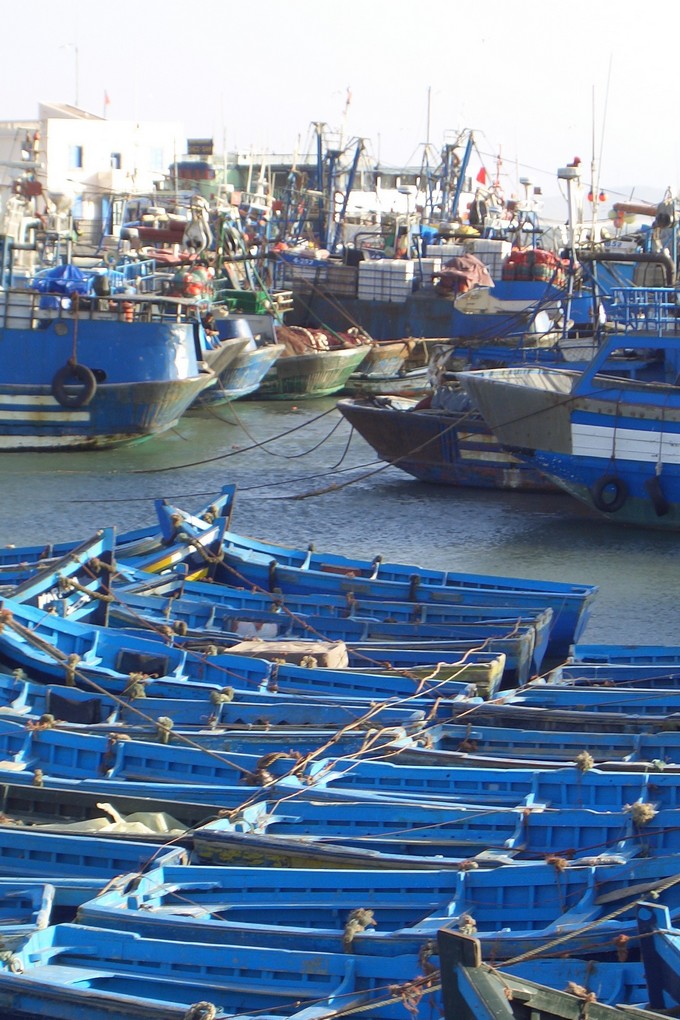 Pilpil (Tajine mit Garnelen), Foto: Fischerhafen von Essaouira von Muriel Brunswig