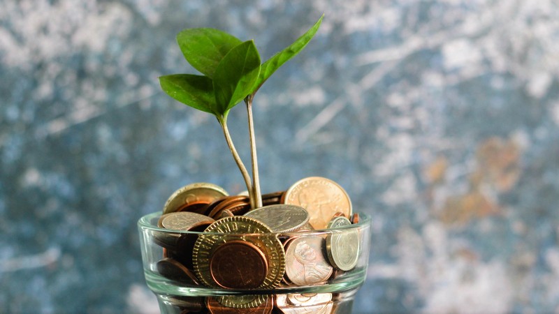 AMMC und IFC: Entwicklung von nachhaltigen Finanzprodukten, Foto: Micheile dot com auf unsplash.vom