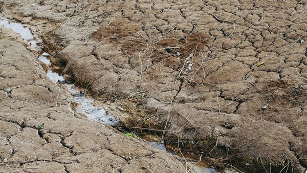 Dürre und die Knappheit der Wasserressourcen, Foto: Markus Spiske auf unsplash.com