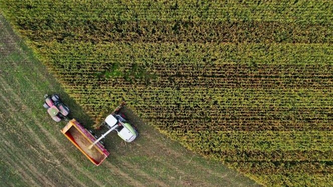 Gute Aussichten für die Frühjahrskulturen, Foto: barlamane.com