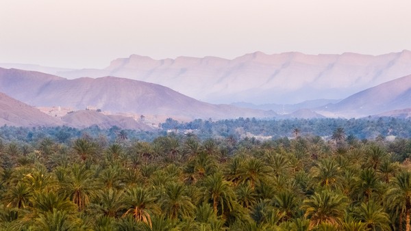 Internationale Messe für Unesco-Geoparks in Marrakesch, Foto: Sergey Pesterev auf unsplash.com