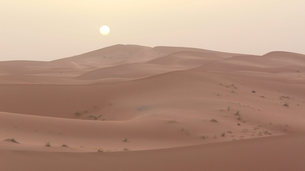 Anerkennung der Souveränität Marokkos über die Westsahara, Foto: Andrea Cappiello bei unsplash.com