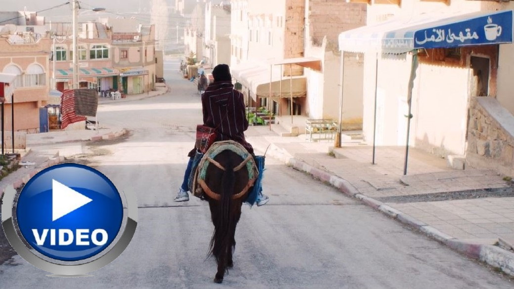 Was spielt es für eine Rolle, wenn Tiere sterben?, Sophia Alaoui. Foto: CCM