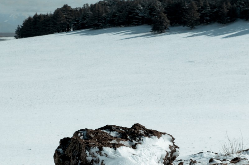 Ifrane. Angepasstes Foto von Hamza Bordoud auf unsplash