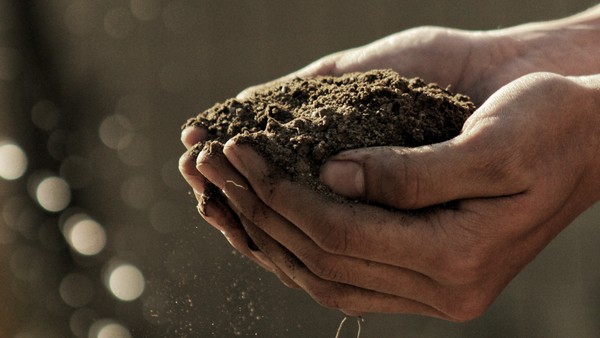 Nachhaltige Landwirtschaft im Angesicht des Klimawandels, Foto: Gabriel Jimenez auf unsplash.com