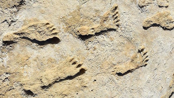 Älteste menschliche Fußabdrücke in Larache entdeckt, Foto: laverite.ma
