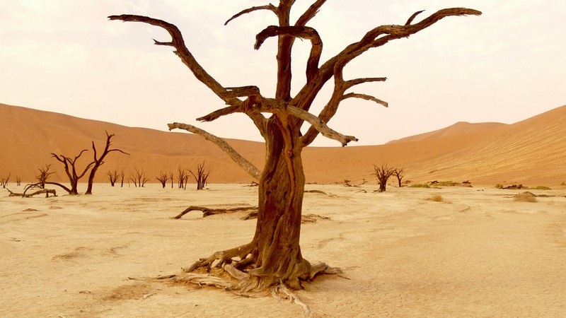Marokko stärkt sein Engagement im Kampf gegen den Klimawandel, Foto: Peter Burdon auf unsplash.com