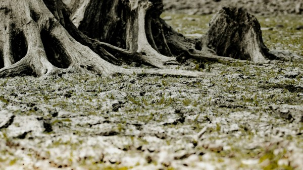 Klimawandel, Foto: Nicolas Houdayer auf unsplash