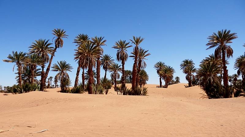 Gnadenlos wandernde Sandmassen. Foto: marokko erfahren