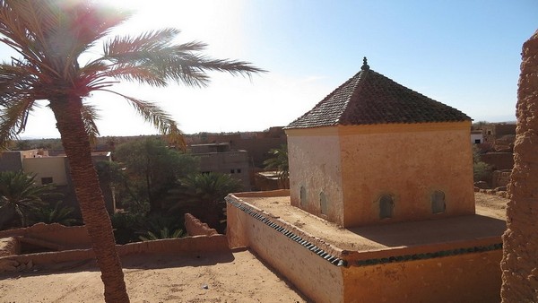 Zaouïa Sidi Al Arabi Ben Abdellah l'Houari: Marabout von oben mit der Palme die durchs Dach waechst, Foto: marokko-erfahren.de